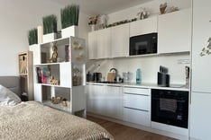 Obrázek k položce: Pronájem bytu 1+kk 34 m², Praha - Libeň