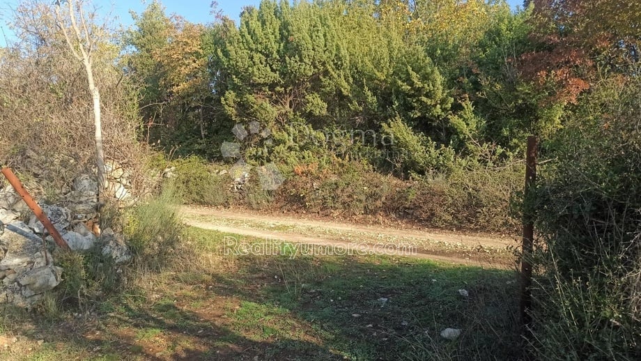Prodej zemědělská půda, 1 136 m² - Fažana