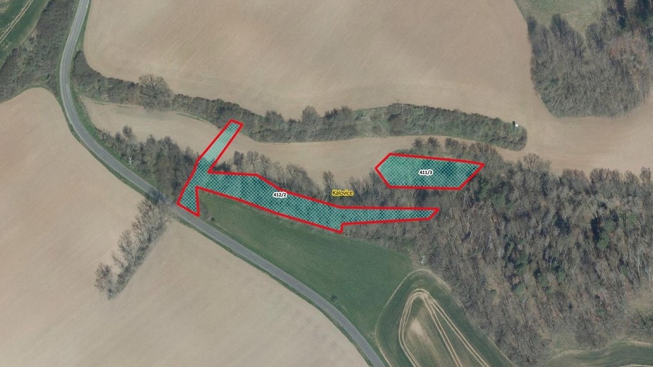 Prodej lesy, 1 455 m² - Úštěk - Kalovice