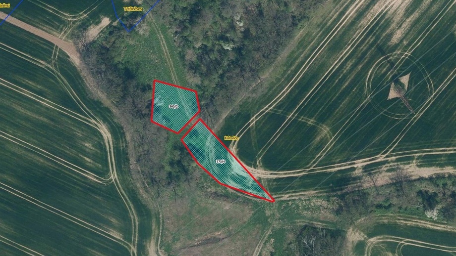 Prodej pozemky - trvalý travní porost, 1 632 m² - Úštěk - Kalovice