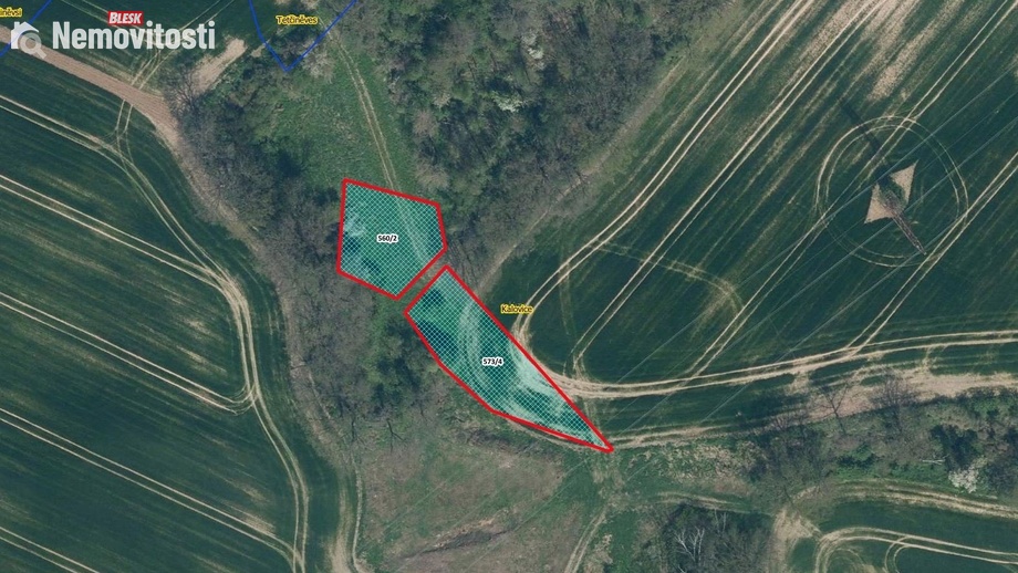 Prodej louky 1 632 m², Úštěk - Kalovice