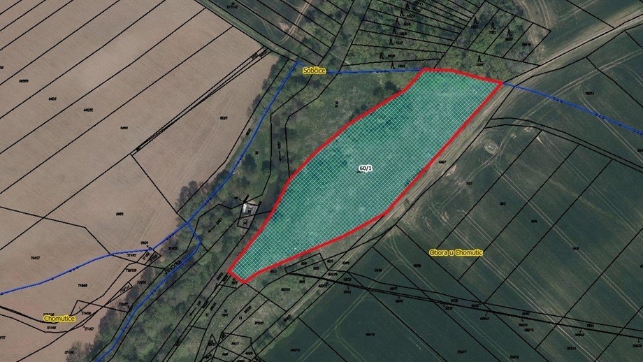 Prodej pozemky - trvalý travní porost, 8 619 m² - Chomutice - Obora
