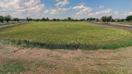 Prodej pole 4 729 m², Běrunice