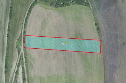 Prodej pole 5 077 m², Uhy
