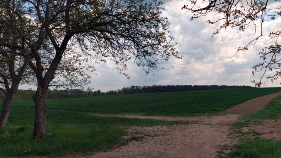 Prodej podílu 5/16 zemědělská půda, 14 932 m² - Štětí - Radouň