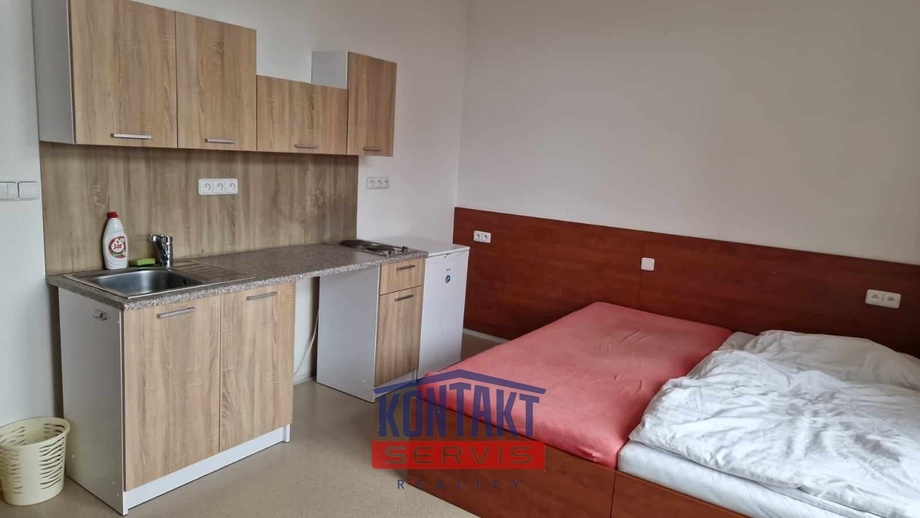 Pronájem bytu 1+kk 30 m², České Budějovice 3