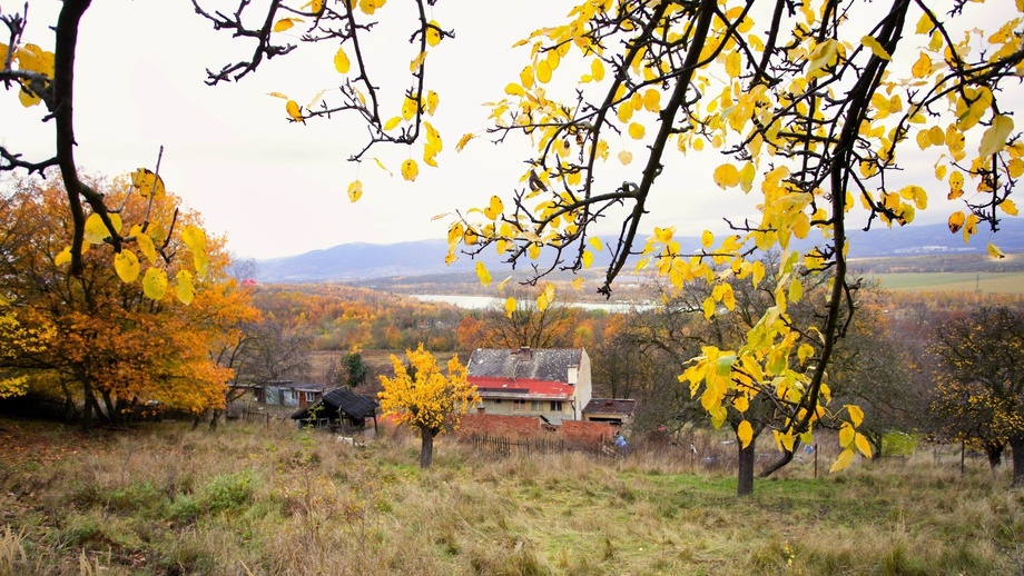 Prodej stavebního pozemku 7 704 m², Most - Souš