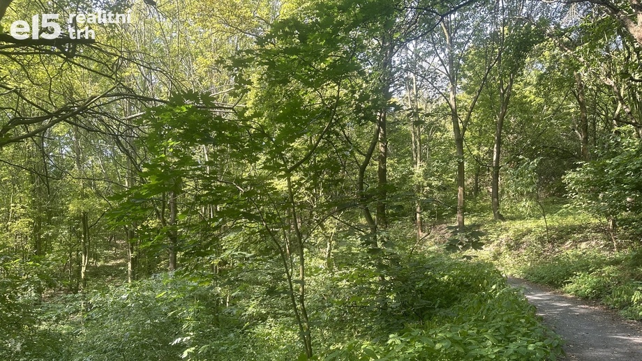 Prodej ostatní pozemky, 22 760 m² - Bílina