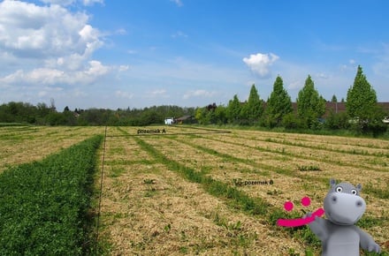 Prodej stavebního pozemku 4 983 m², Hostouň