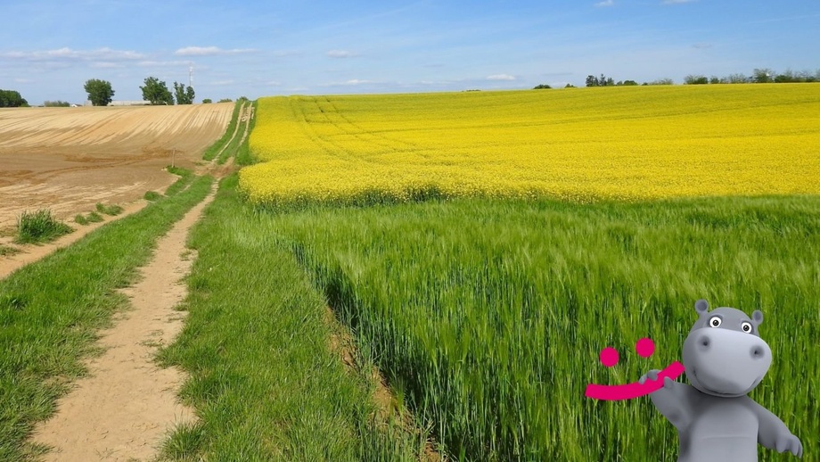 Prodej zemědělská půda, 24 288 m² - Dolní Němčí