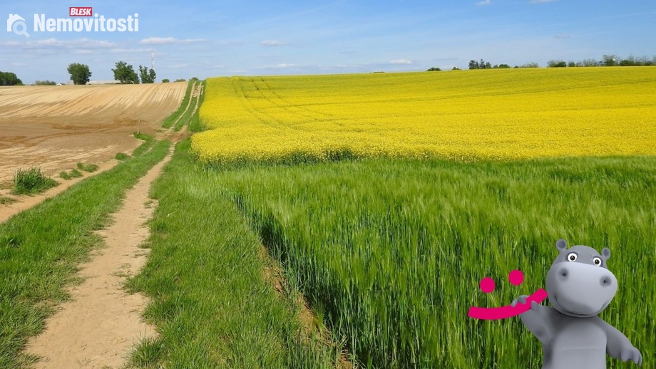 Prodej pole 24 288 m², Dolní Němčí