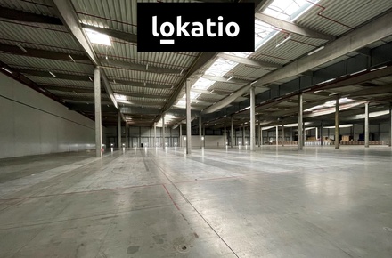 Pronájem skladu 18 297 m², Pohořelice