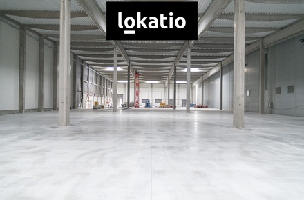 Pronájem skladu 6 694 m², Divišov