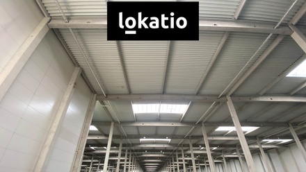Pronájem skladu 14 247 m², Ostrava - Hrušov