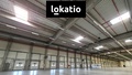 Pronájem skladu 32 698 m², Bor