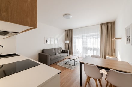 Pronájem bytu 2+kk 61 m², Praha - Karlín