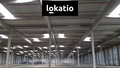 Pronájem skladu 10 217 m², Mošnov