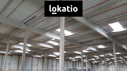 Pronájem skladu 10 217 m², Mošnov