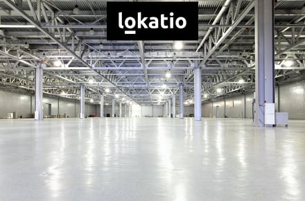 Pronájem skladu 6 000 m², Myslinka