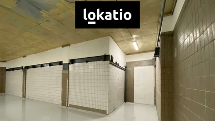 Pronájem skladu 400 m², Olomouc - Holice