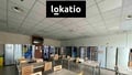 Pronájem výrobního prostoru 7 500 m², Hodonín
