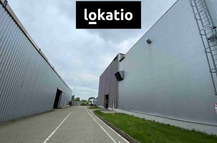 Pronájem výrobního prostoru 7 500 m², Hodonín
