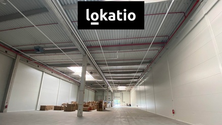 Pronájem skladu 1 589 m², Ostrava