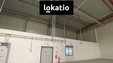 Pronájem skladu 1 589 m², Ostrava