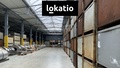 Pronájem skladu 10 000 m², Čelákovice