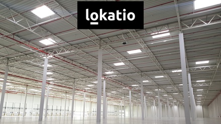 Pronájem skladu 5 061 m², Syrovice