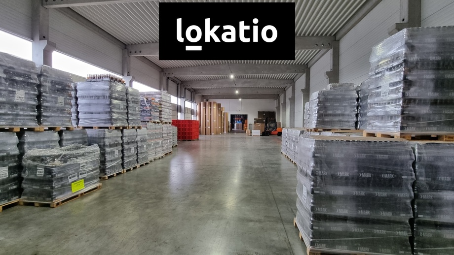 Pronájem skladu 879 m², Pelhřimov