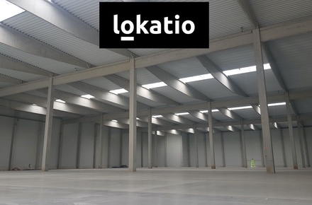 Pronájem skladu 18 500 m², Přimda - Mlýnec