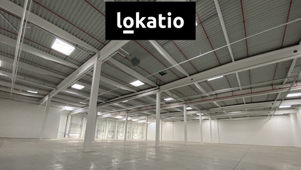 Pronájem skladu 5 195 m², Ostrava - Vítkovice