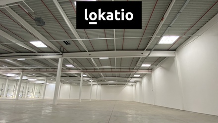 Pronájem skladu 5 195 m², Ostrava - Vítkovice