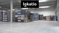 Pronájem skladu 3 723 m², Česká Třebová