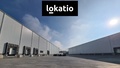 Pronájem skladu 9 734 m², Bílina