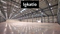 Pronájem skladu 9 734 m², Bílina
