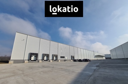 Pronájem skladu 9 734 m², Bílina
