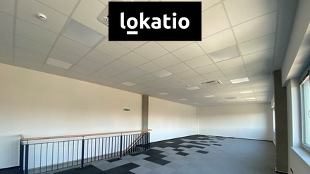 Pronájem výrobního prostoru 1 800 m², Mikulov