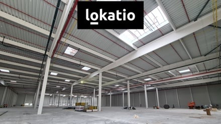 Pronájem skladu 8 426 m², Myslinka