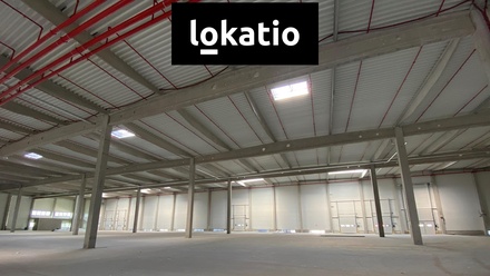 Pronájem skladu 10 800 m², Olomouc