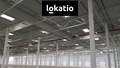 Pronájem skladu 30 700 m², Přehýšov