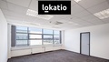 Pronájem skladu 4 246 m², Žatec