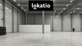 Pronájem skladu 7 000 m², Vejprnice