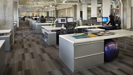 Pronájem skladu 15 628 m², Zákupy