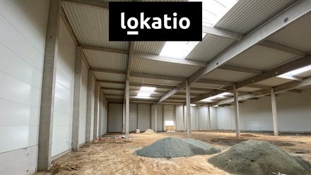 Pronájem skladu 3 078 m², Holubice