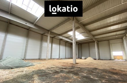 Pronájem skladu 3 078 m², Holubice