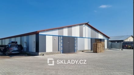 Pronájem skladu 3 000 m², Rokytné, Ukrajina