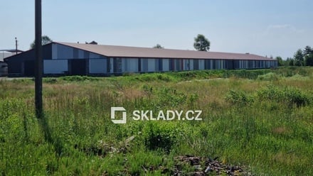 Pronájem skladu 3 000 m², Rokytné, Ukrajina