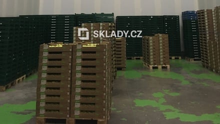 Pronájem skladu 6 500 m², Tuchoraz